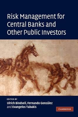 Risk Management for Central Banks and Other Public Investors - 