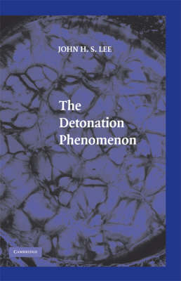 Detonation Phenomenon -  John H. S. Lee