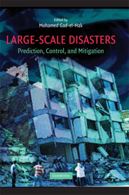 Large-Scale Disasters - 