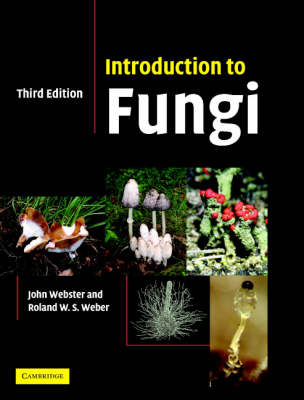 Introduction to Fungi -  Roland Weber,  John Webster