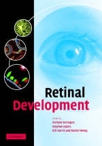 Retinal Development - 