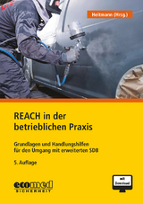 REACH in der betrieblichen Praxis - Kerstin Heitmann