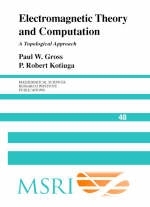 Electromagnetic Theory and Computation -  Paul W. Gross,  P. Robert Kotiuga