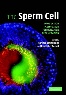 Sperm Cell - 