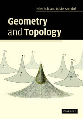 Geometry and Topology -  Miles Reid,  Balazs Szendroi