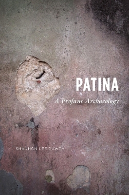 Patina - Shannon Lee Dawdy