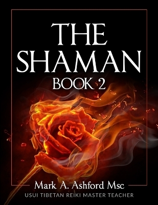 The Practical Shaman Book 2 - Mark a Ashford