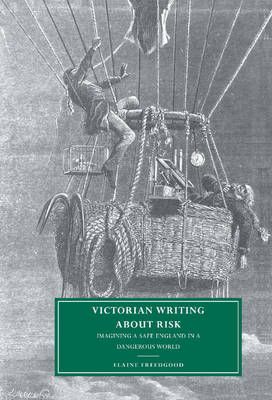 Victorian Writing about Risk -  Elaine Freedgood