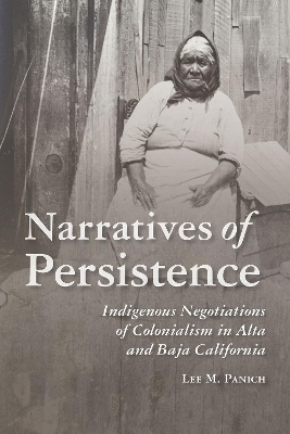 Narratives of Persistence - Lee Panich