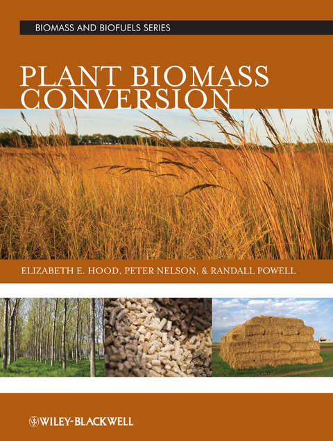 Plant Biomass Conversion - 