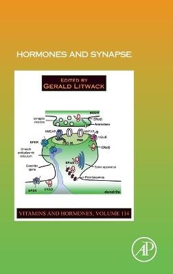 Hormones and Synapse - 