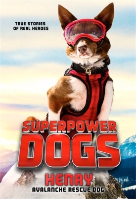 Superpower Dogs: Henry - Cosmic Picture