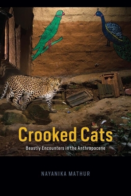 Crooked Cats - Nayanika Mathur