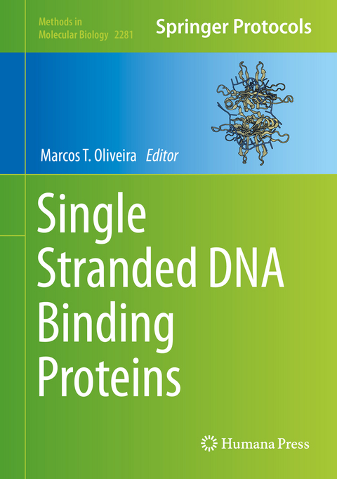 Single Stranded DNA Binding Proteins - 