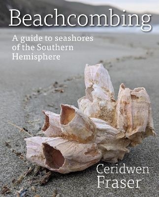 Beachcombing - Ceridwen Fraser