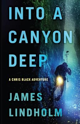 Into A Canyon Deep - James Lindholm