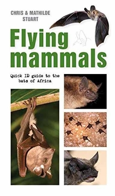 Flying Mammals - Chris Stuart, Mathilde Stuart