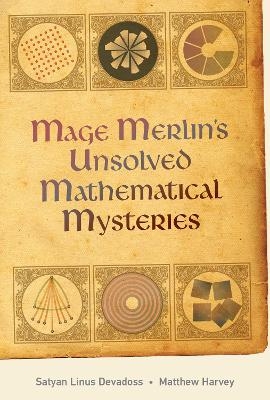 Mage Merlin's Unsolved Mathematical Mysteries - Satyan Devadoss, Matt Harvey