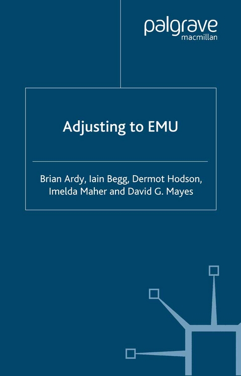 Adjusting to EMU -  B. Ardy,  I. Begg,  D. Hodson,  Imelda Maher,  D. Mayes