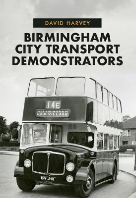 Birmingham City Transport Demonstrators - David Harvey