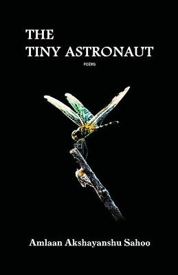 The Tiny Astronaut - Amlaan Akshayanshu Sahoo