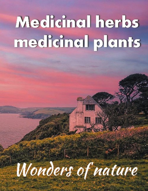 Medicinal herbs / medicinal plants - Helga Schilden, Tom Schilden