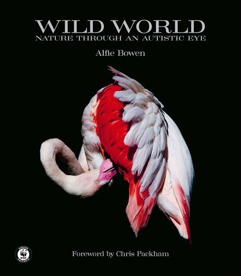 Wild World - Alfie Bowen