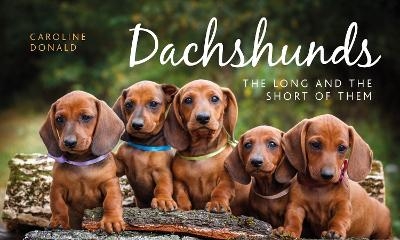 Dachshunds - Caroline Donald