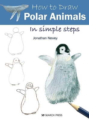 How to Draw: Polar Animals - Jonathan Newey