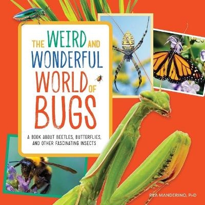 The Weird and Wonderful World of Bugs - Rea Manderino