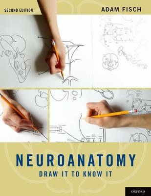 Neuroanatomy -  Adam Fisch