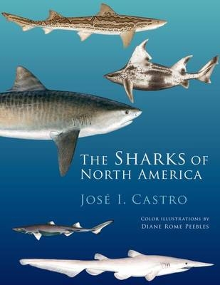 Sharks of North America -  Jose I. Castro