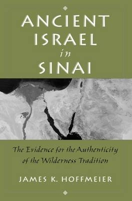 Ancient Israel in Sinai -  James K. Hoffmeier