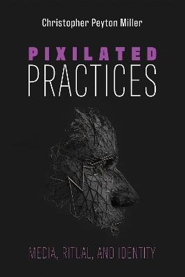 Pixilated Practices - Christopher Peyton Miller