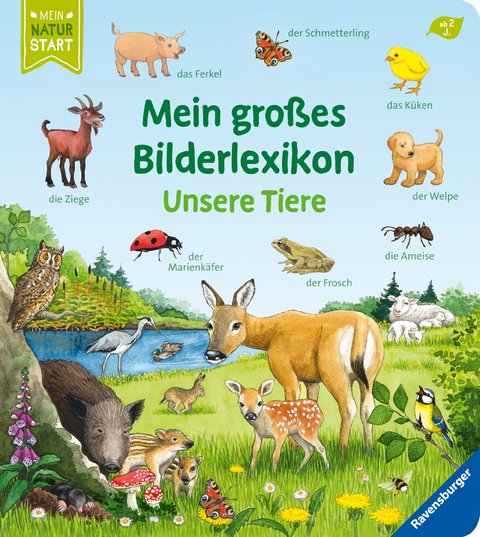 Mein großes Bilderlexikon: Unsere Tiere - Susanne Gernhäuser