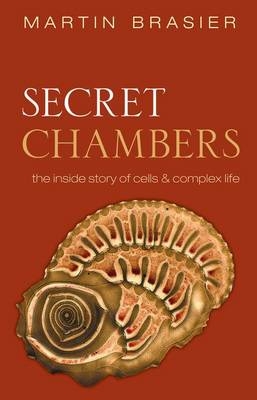 Secret Chambers -  Martin Brasier