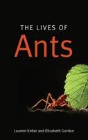 Lives of Ants -  Elisabeth Gordon,  Laurent Keller
