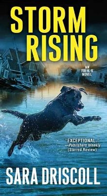 Storm Rising - Sara Driscoll