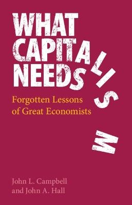 What Capitalism Needs - John L. Campbell, John A. Hall