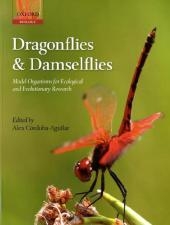 Dragonflies and Damselflies - 