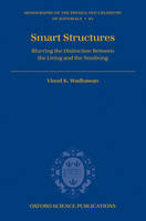 Smart Structures -  Vinod K. Wadhawan