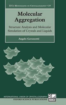 Molecular Aggregation -  Angelo Gavezzotti
