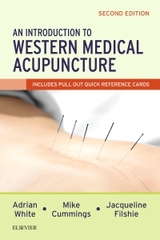 An Introduction to Western Medical Acupuncture - White, Adrian; Cummings, Mike; Filshie, Jacqueline