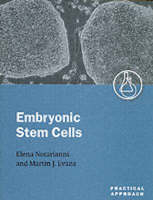 Embryonic Stem Cells - 
