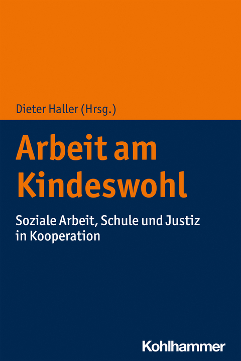 Arbeit am Kindeswohl - 