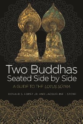 Two Buddhas Seated Side by Side - Donald S. Lopez, Jacqueline I. Stone