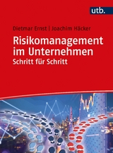 Risikomanagement im Unternehmen Schritt für Schritt - Dietmar Ernst, Joachim Häcker
