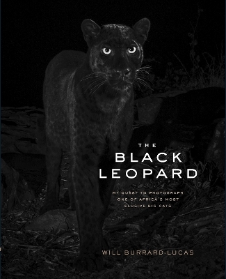 The Black Leopard - 