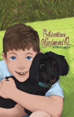 The Adventures of Nyedmund Q - Jeffrey L Singer