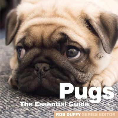 Pugs - 